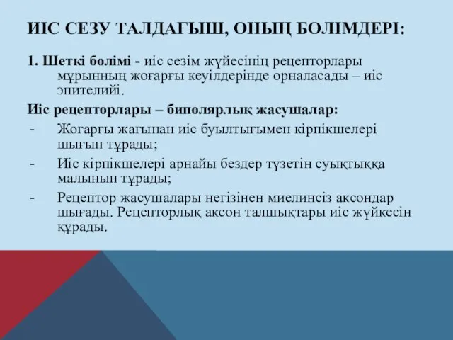 ИІС СЕЗУ ТАЛДАҒЫШ, ОНЫҢ БӨЛІМДЕРІ: 1. Шеткі бөлімі - иіс сезім