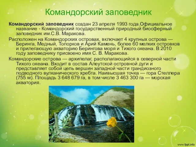 Командорский заповедник Командорский заповедник создан 23 апреля 1993 года.Официальное название -