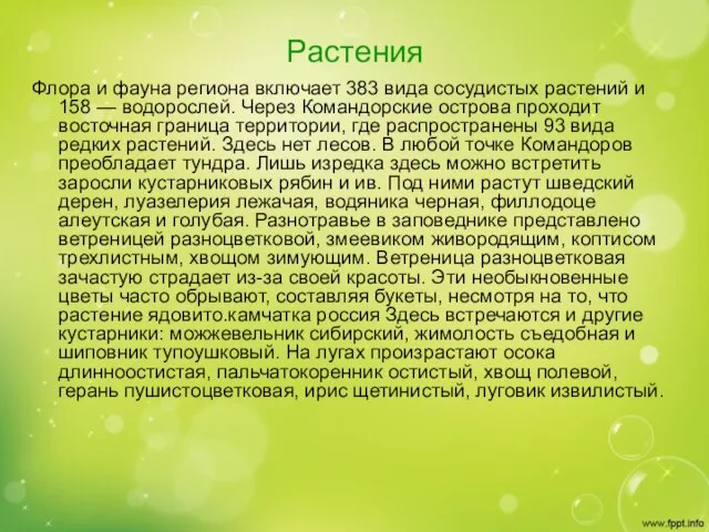 Растения Флора и фауна региона включает 383 вида сосудистых растений и