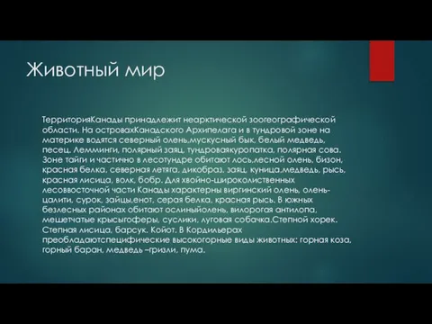 Животный мир ТерриторияКанады принадлежит неарктической зоогеографической области. На островахКанадского Архипелага и