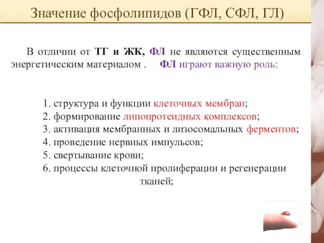 Значение фосфолипидов (ГФЛ, СФЛ, ГЛ) В отличии от ТГ и ЖК,