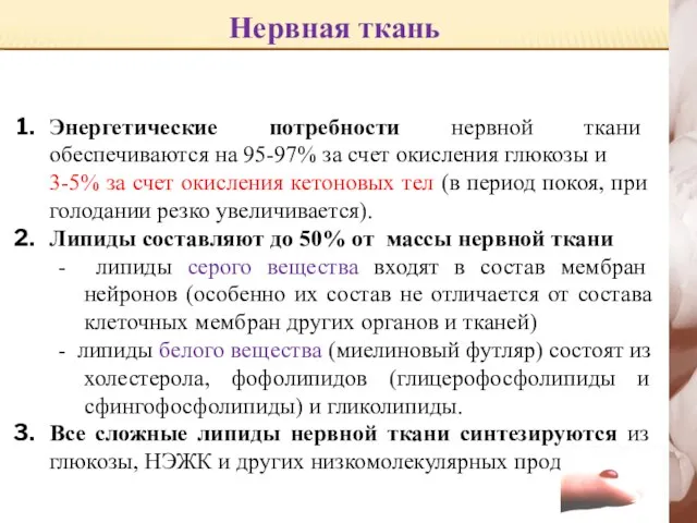 Нервная ткань Энергетические потребности нервной ткани обеспечиваются на 95-97% за счет