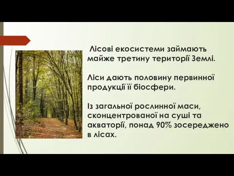 Лісові екосистеми займають майже третину території Землі. Ліси дають половину первинної