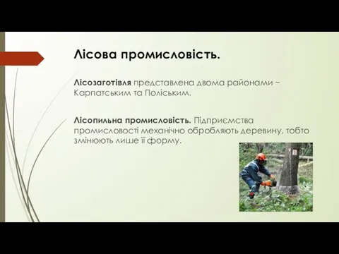 Лісозаготівля представлена двома районами − Карпатським та Поліським. Лісопильна промисловість. Підприємства