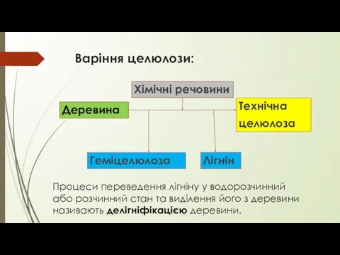 Варіння целюлози: Деревина Технічна целюлоза Хімічні речовини Геміцелюлоза Лігнін Процеси переведення