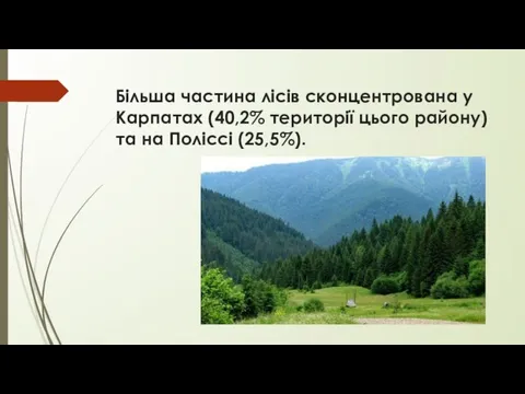 Більша частина лісів сконцентрована у Карпатах (40,2% території цього району) та на Поліссі (25,5%).