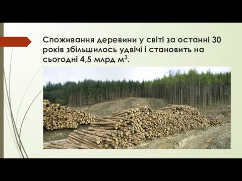 Споживання деревини у світі за останні 30 років збільшилось удвічі і