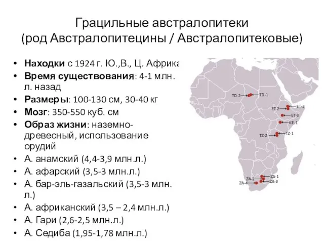 Грацильные австралопитеки (род Австралопитецины / Австралопитековые) Находки с 1924 г. Ю.,В.,