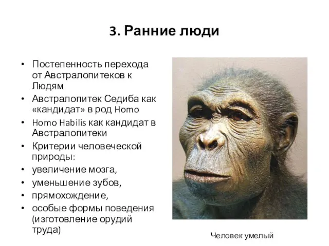 3. Ранние люди Постепенность перехода от Австралопитеков к Людям Австралопитек Седиба