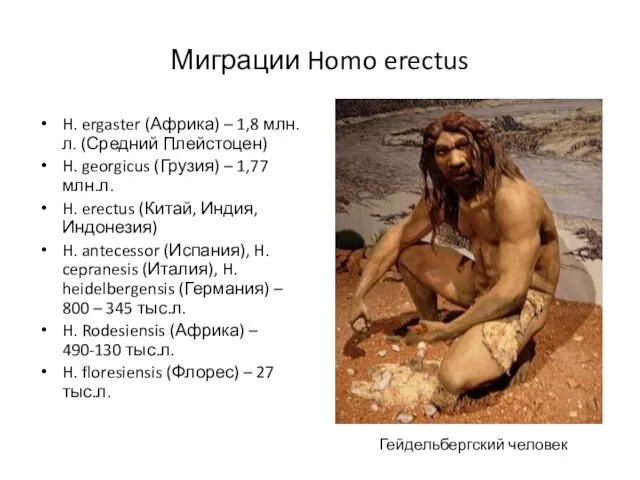 Миграции Homo erectus H. ergaster (Африка) – 1,8 млн.л. (Средний Плейстоцен)