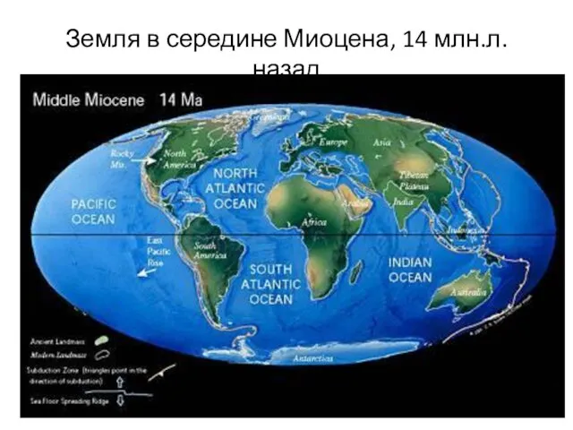 Земля в середине Миоцена, 14 млн.л. назад