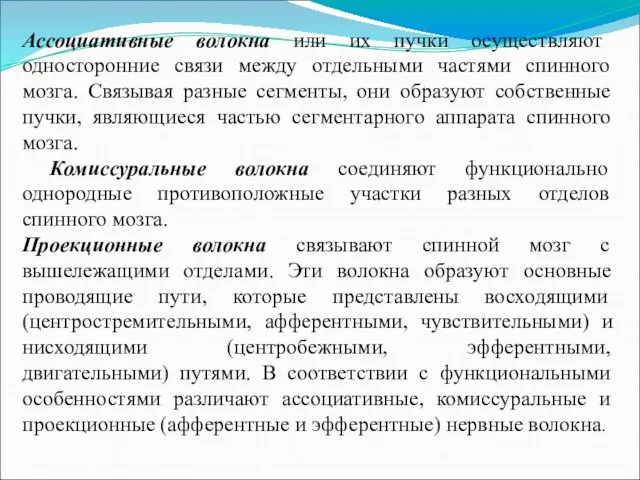 Ассоциативные волокна или их пучки осуществляют односторонние связи между отдельными частями