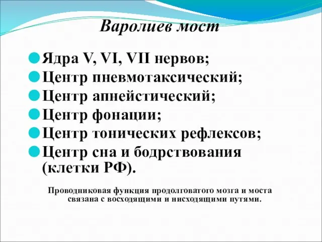 Варолиев мост Ядра V, VI, VII нервов; Центр пневмотаксический; Центр апнейстический;