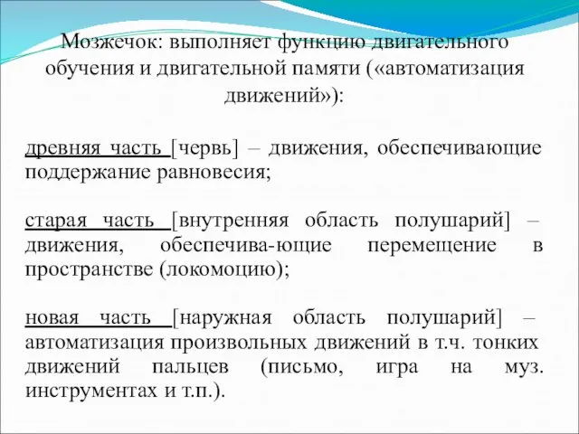 Мозжечок: выполняет функцию двигательного обучения и двигательной памяти («автоматизация движений»): древняя