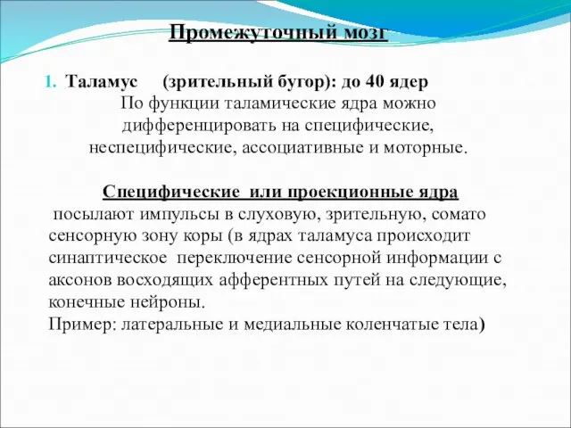 Промежуточный мозг Таламус (зрительный бугор): до 40 ядер По функции таламические