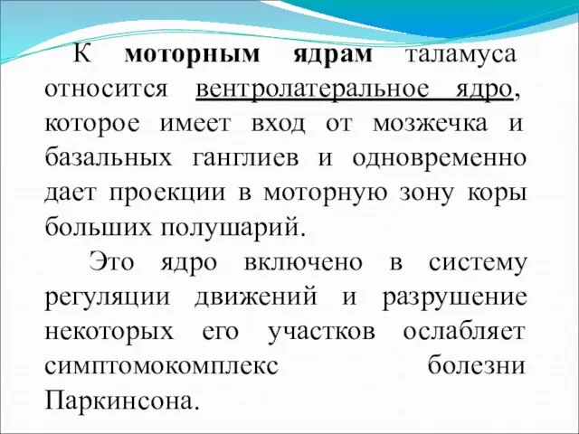 К моторным ядрам таламуса относится вентролатеральное ядро, которое имеет вход от