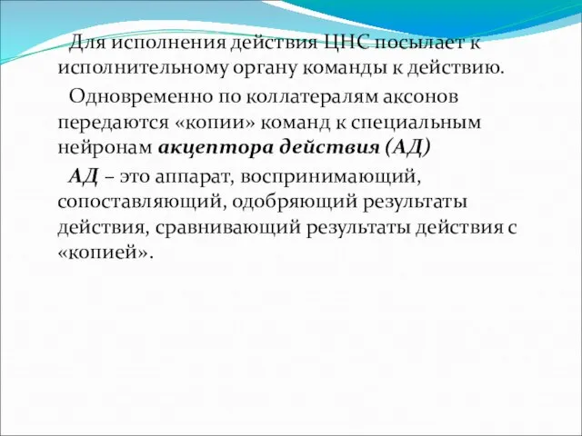 Для исполнения действия ЦНС посылает к исполнительному органу команды к действию.