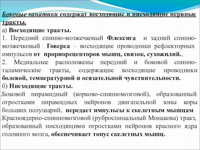 Боковые канатики содержат восходящие и нисходящие нервные тракты. а) Восходящие тракты.