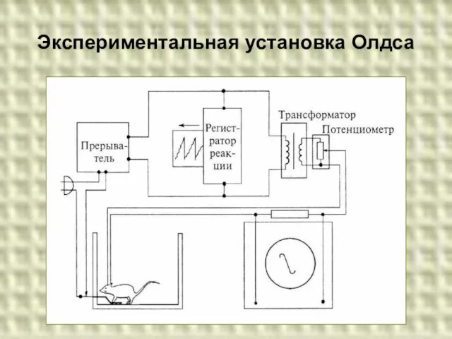 Экспериментальная установка Олдса