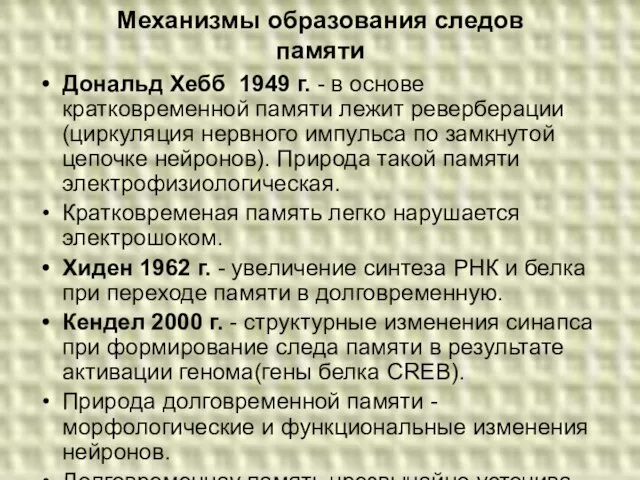 Механизмы образования следов памяти Дональд Хебб 1949 г. - в основе