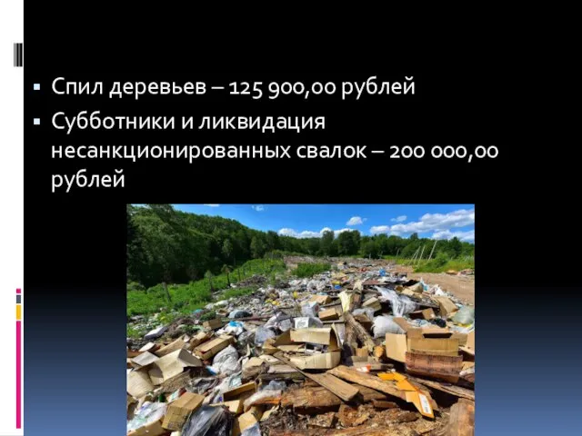 Спил деревьев – 125 900,00 рублей Субботники и ликвидация несанкционированных свалок – 200 000,00 рублей