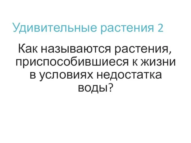 Удивительные растения 2 Как называются растения, приспособившиеся к жизни в условиях недостатка воды?