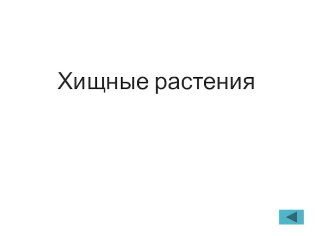 Хищные растения