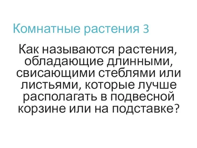 Комнатные растения 3 Как называются растения, обладающие длинными, свисающими стеблями или