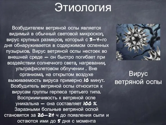 Этиология Возбудителем ветряной оспы является видимый в обычный световой микроскоп, вирус