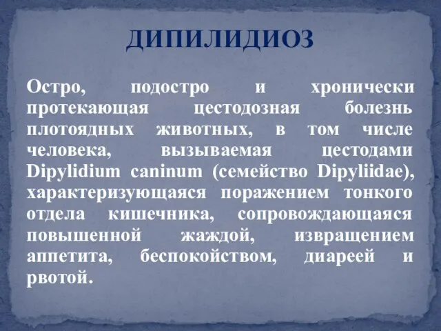 Остро, подостро и хронически протекающая цестодозная болезнь плотоядных животных, в том