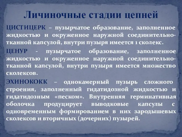 ЦИСТИЦЕРК – пузырчатое образование, заполненное жидкостью и окруженное наружной соединительно-тканной капсулой,