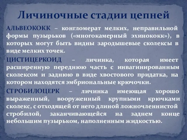 АЛЬВЕОКОКК – конгломерат мелких, неправильной формы пузырьков («многокамерный эхинококк»), в которых