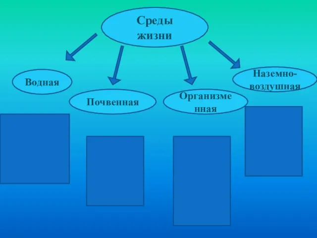 Среды жизни Водная Почвенная Наземно-воздушная Организменная