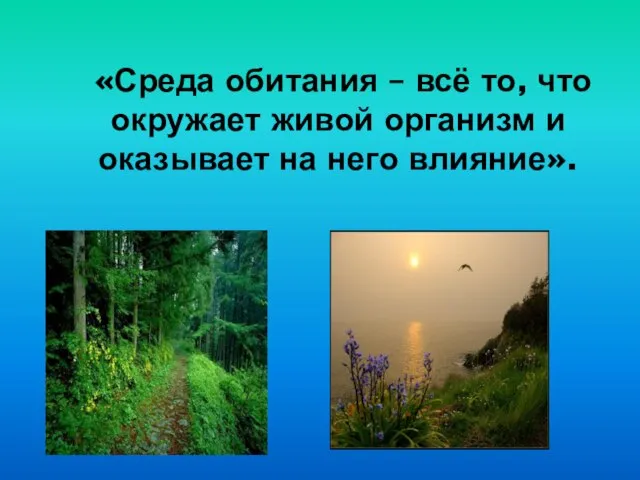 «Среда обитания – всё то, что окружает живой организм и оказывает на него влияние».