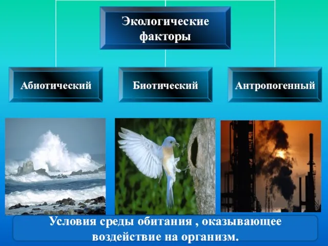 Условия среды обитания , оказывающее воздействие на организм.