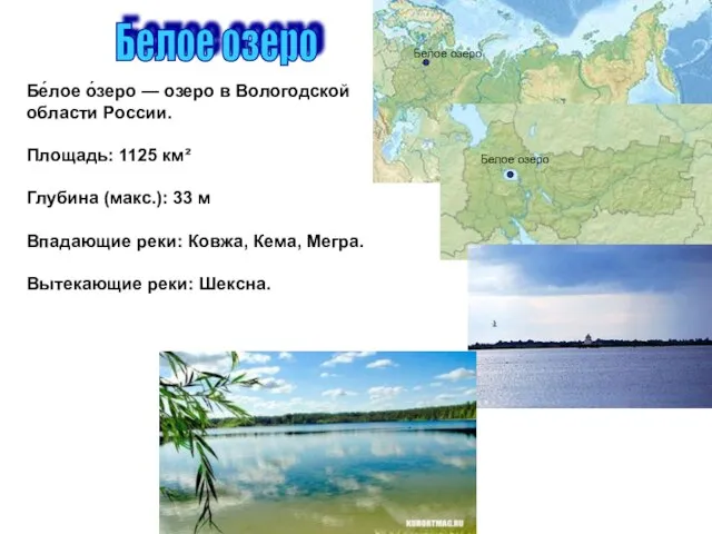 Белое озеро Бе́лое о́зеро — озеро в Вологодской области России. Площадь: