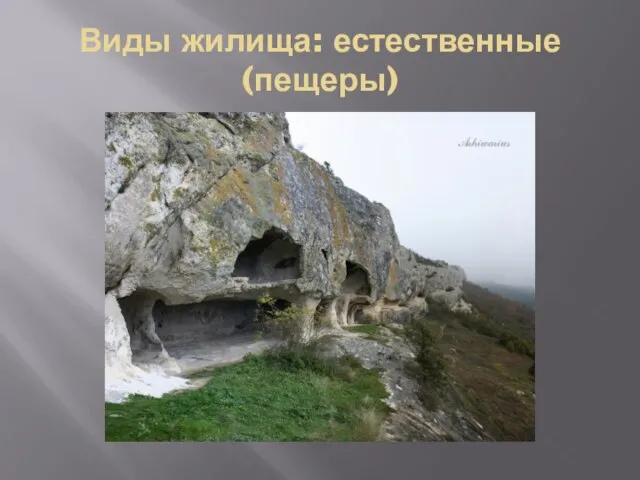 Виды жилища: естественные (пещеры)