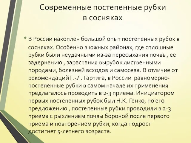 Современные постепенные рубки в сосняках В России накоплен большой опыт постепенных