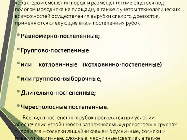 В соответствии с особенностями структуры древостоев, характером смешения пород и размещения