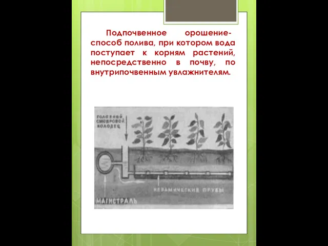 Подпочвенное орошение- способ полива, при котором вода поступает к корням растений,