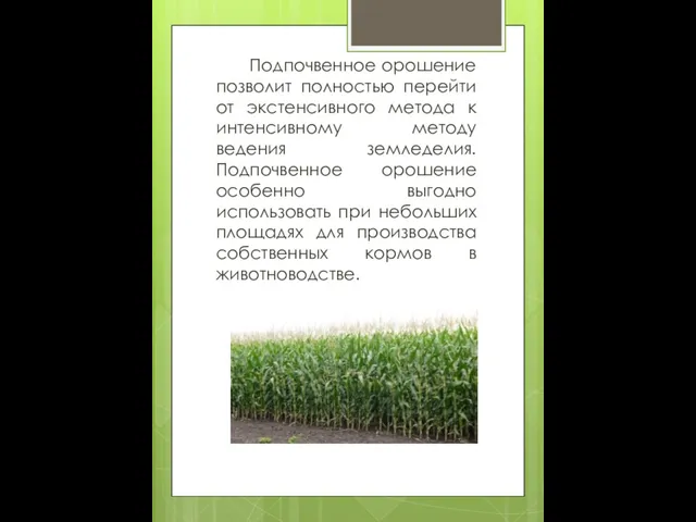 Подпочвенное орошение позволит полностью перейти от экстенсивного метода к интенсивному методу