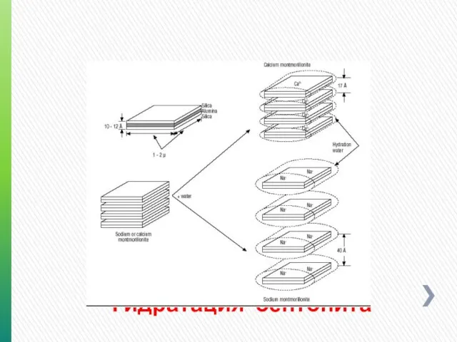 Гидратация бентонита