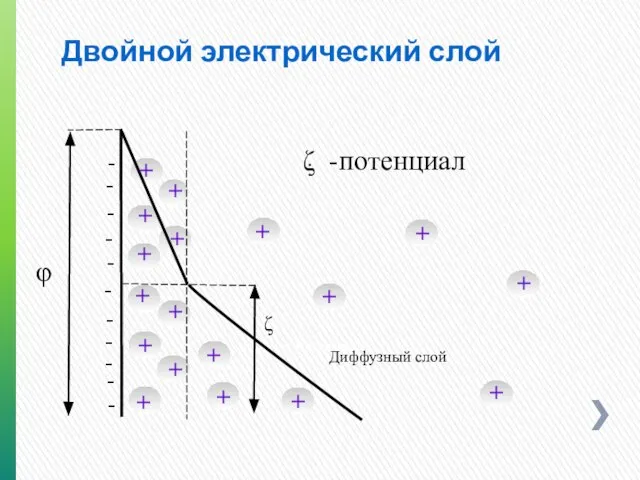 Двойной электрический слой . - - - - - - -