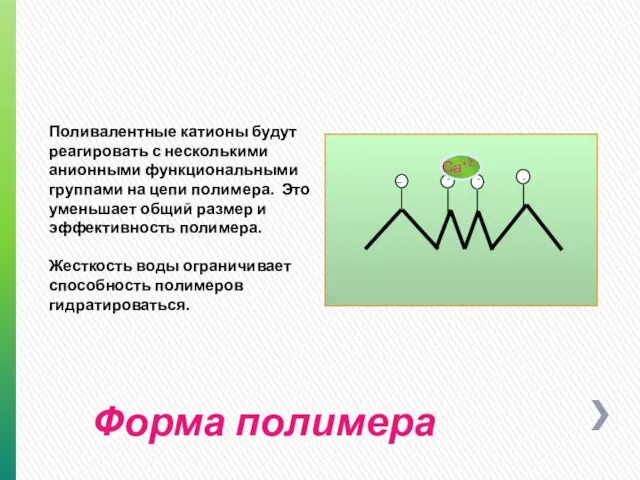 Форма полимера _ - - - Поливалентные катионы будут реагировать с