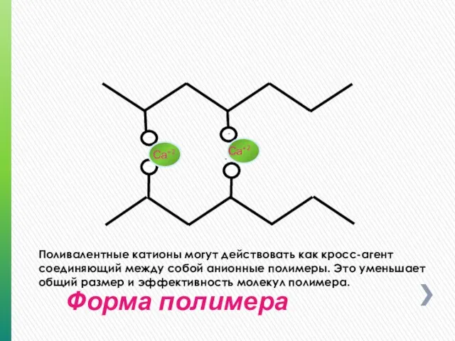 - - - - - - -- -- Форма полимера Поливалентные