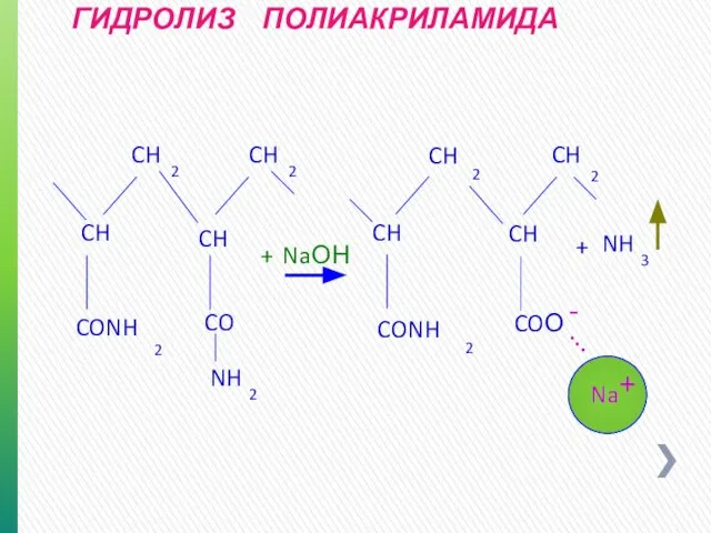 ГИДРОЛИЗ ПОЛИАКРИЛАМИДА + CH 2 CH CH CH 2 CH CH