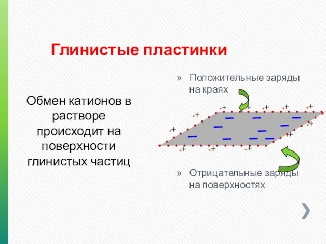 Глинистые пластинки Положительные заряды на краях Отрицательные заряды на поверхностях +