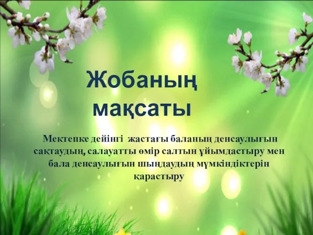 Мектепке дейінгі жастағы баланың денсаулығын сақтаудың, салауатты өмір салтын ұйымдастыру мен