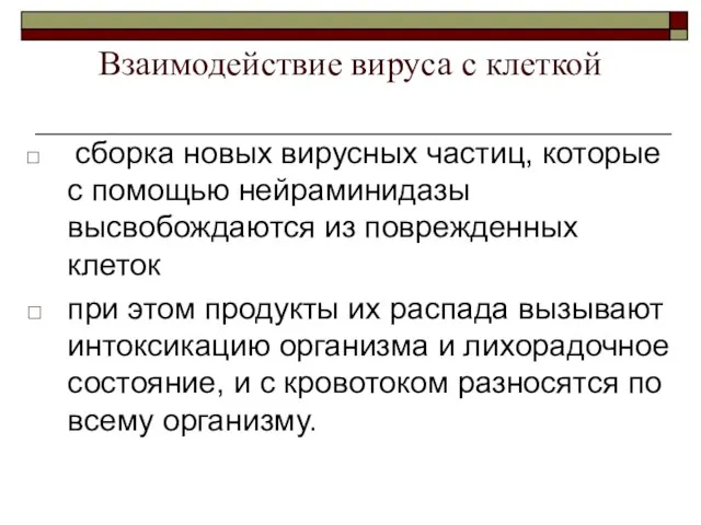 сборка новых вирусных частиц, которые с помощью нейраминидазы высвобождаются из поврежденных