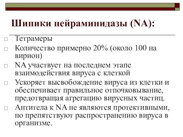 Шипики нейраминидазы (NA): Тетрамеры Количество примерно 20% (около 100 на вирион)